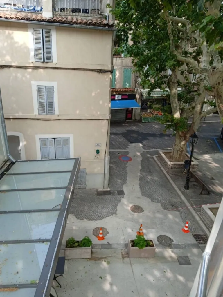 pics anti pigeons sur verrière restaurant luynes