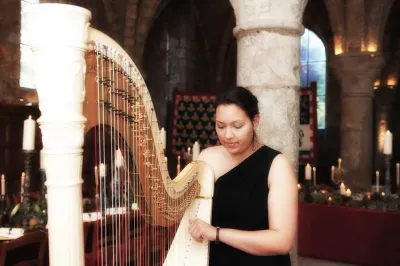 Music for wedding cocktail