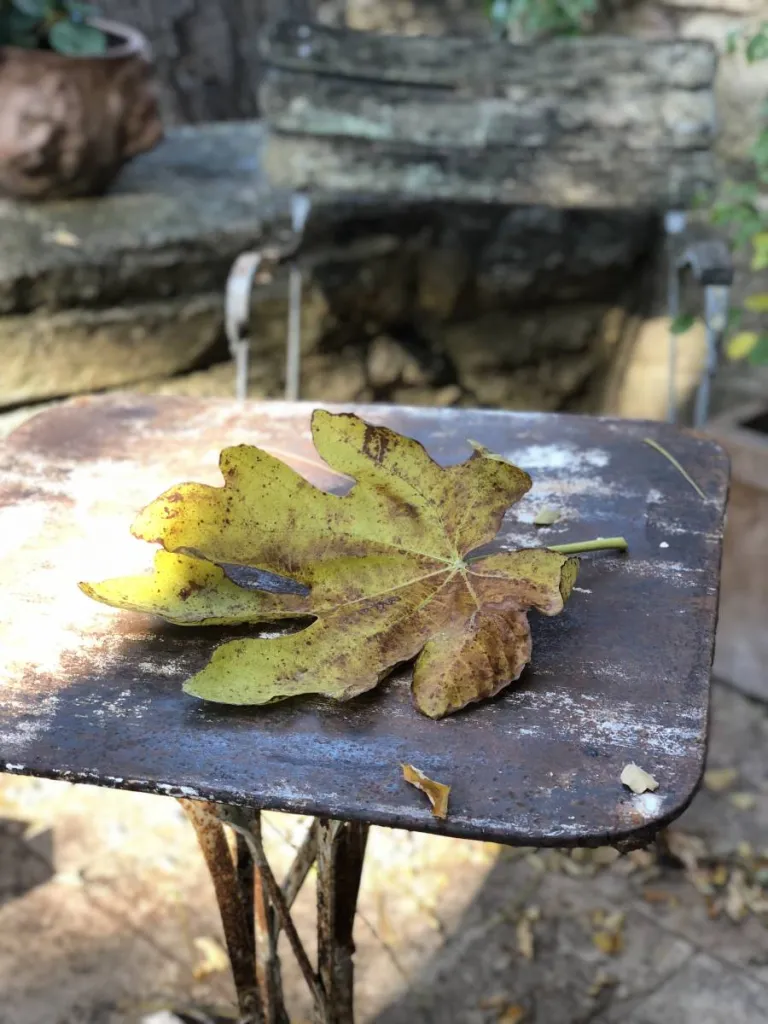 Photos d'ambiances prises par Sacha Houant project manager et interior designer dans le Luberon