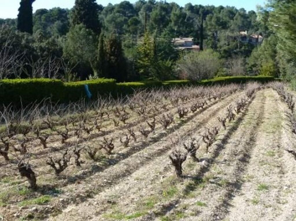 Roquefort la Bédoule vente terrain