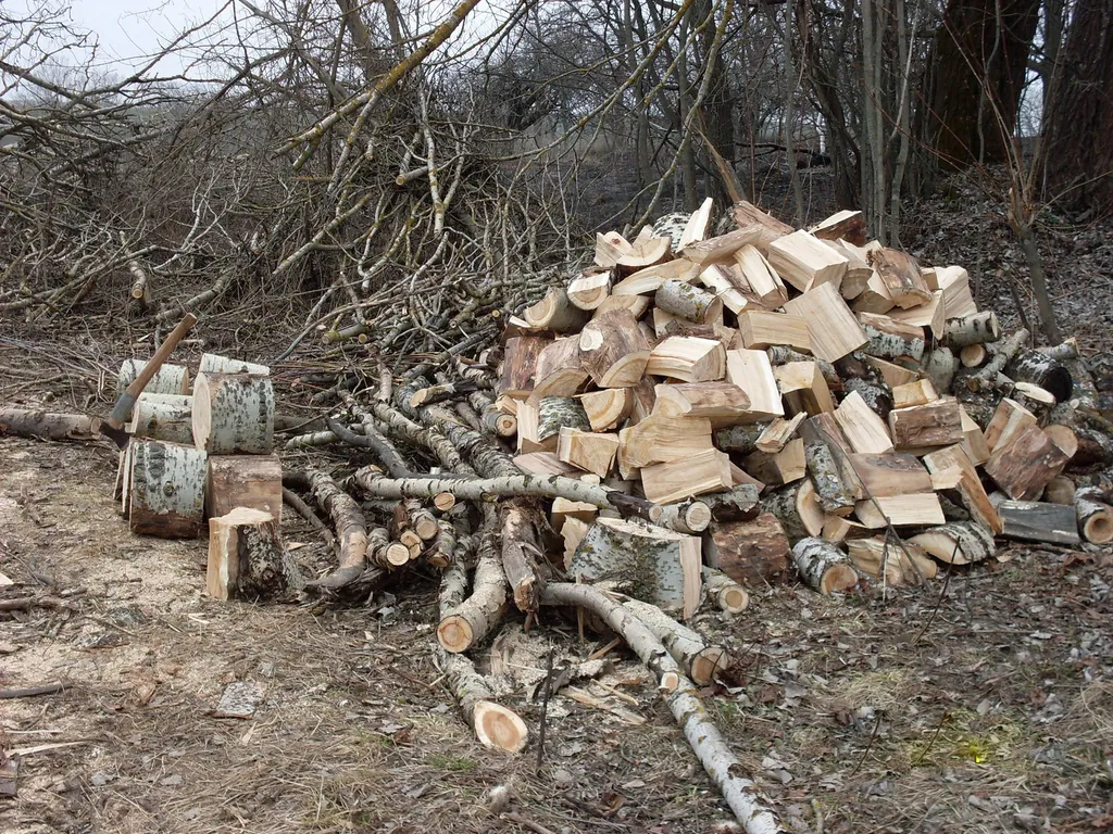 Vous êtes un particulier et vous avez besoin de nettoyer un terrain sans le Médoc, nous louons des bennes 30m3 pour les déchets verts.
