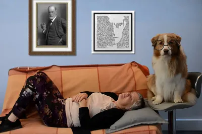 Clarifier les “psychologues pour animaux” à Paris avec Valérie Guillet, grâce à la constellation animale intuitive