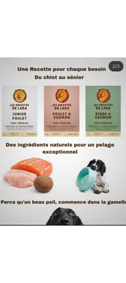 Les Recettes de Lara : nouvelle gamme sans céréales pour chiens fabriquée à Carros avec ingrédients français
