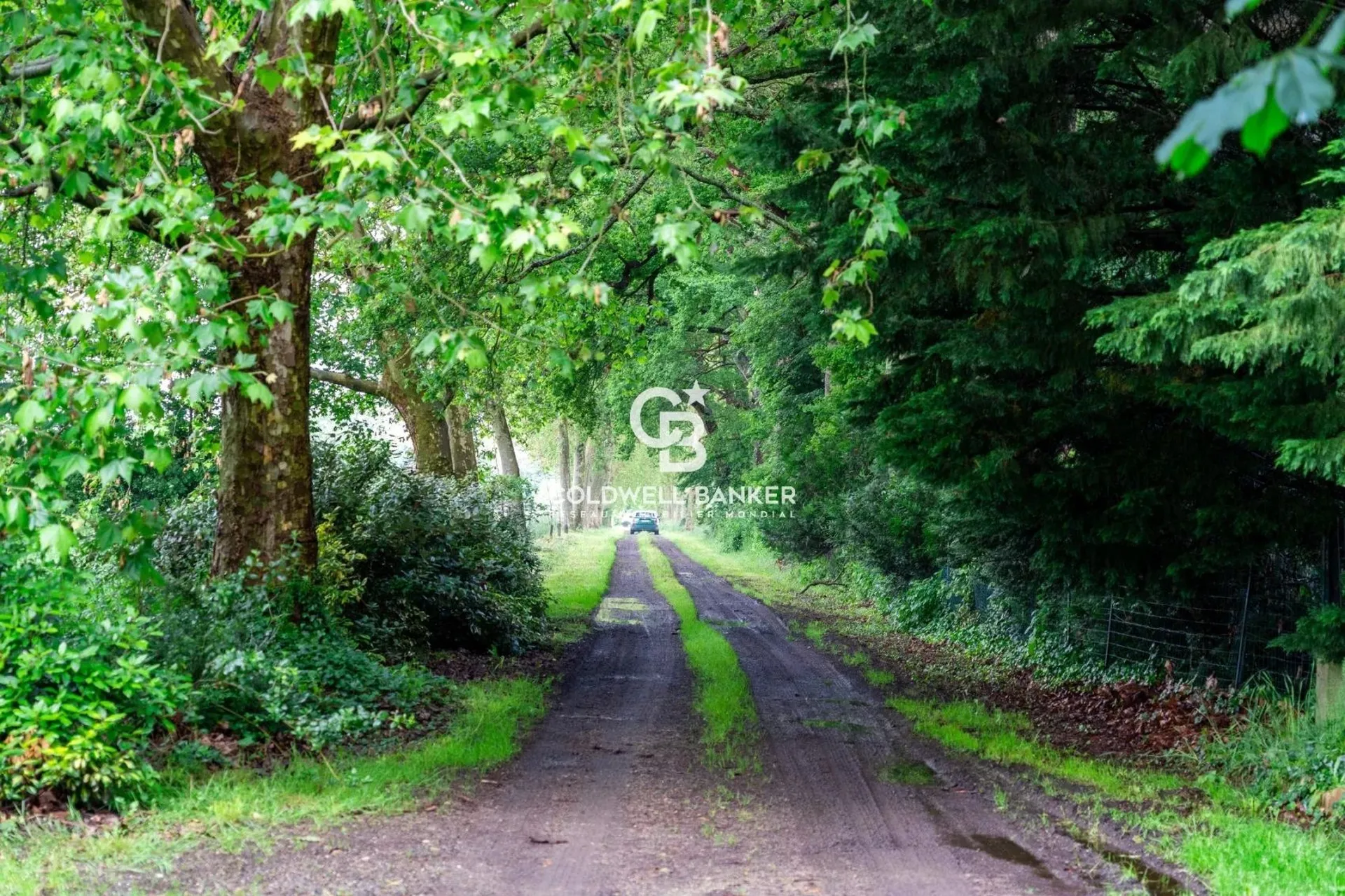 acheter un bien immobilier exceptionnel en sarthe le mans