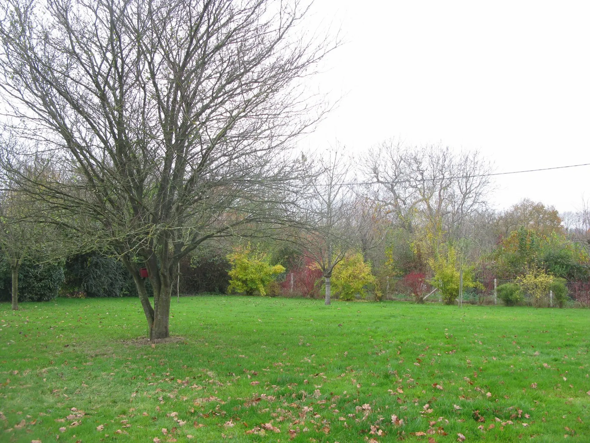 MAISON TRADITIONNELLE Région LISIEUX Pays d'Auge