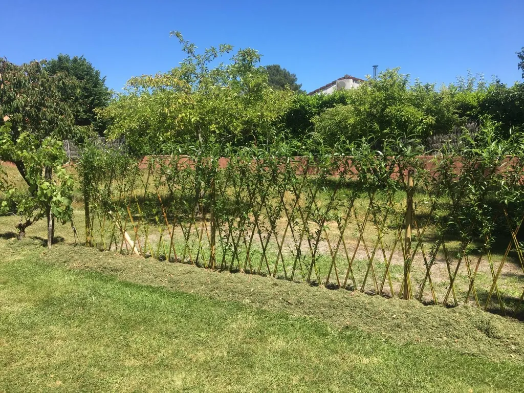 Pourquoi choisir une clôture naturelle esthétique pour votre jardin près de Cazaux en Gironde avec l’expertise des paysagistes d'Évolution Paysage