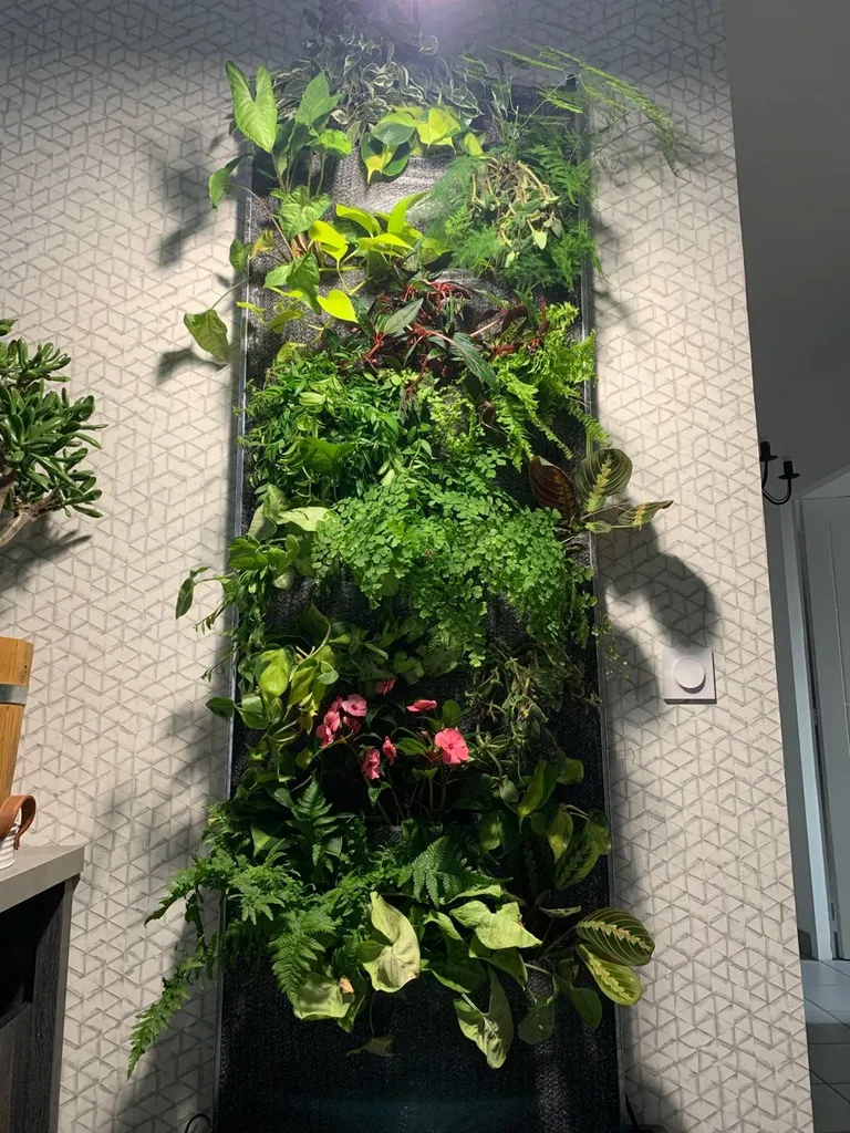 Création d'un mur végétal d’intérieur à proximité de Sanguinet