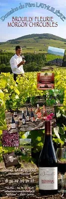 Viticulteur récoltant Cercié en Beaujolais (69) Domaine du Père Lathulière