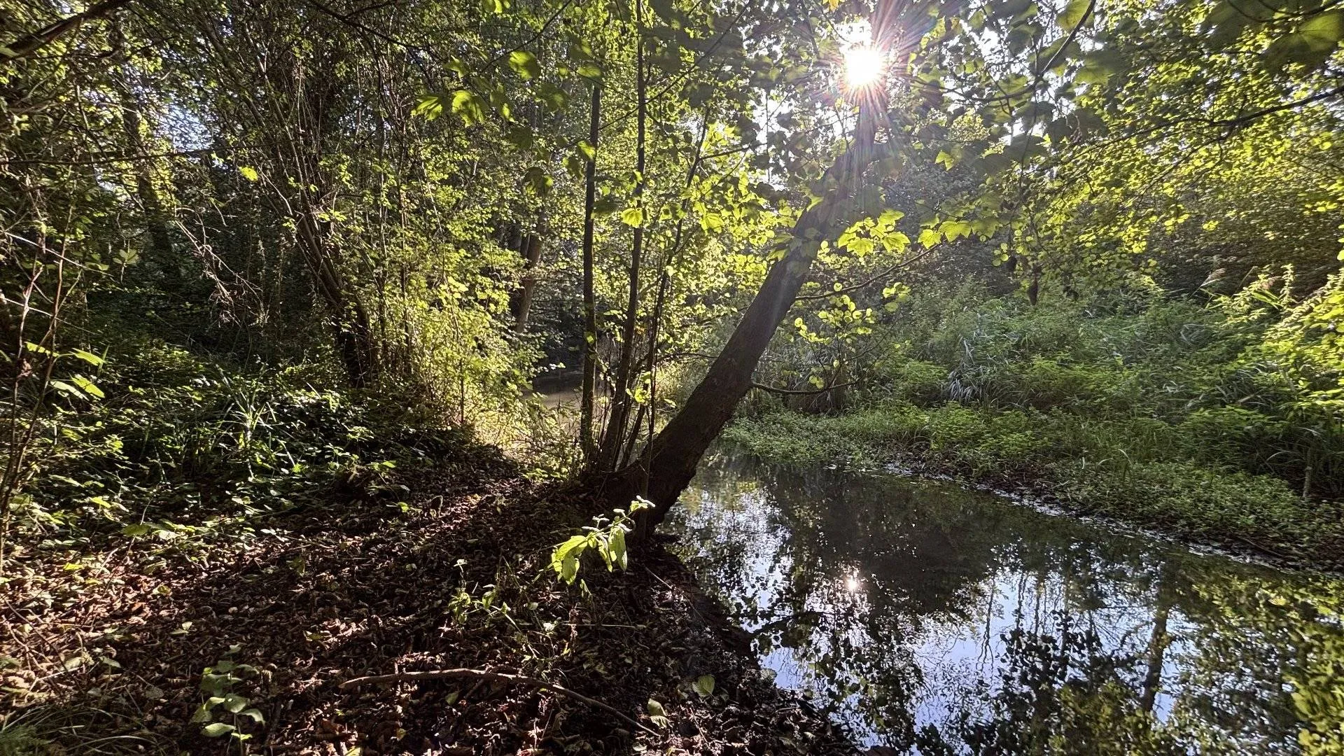 A vendre terrain avec rivière