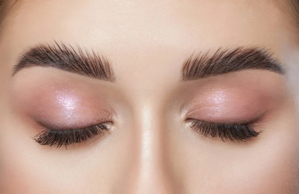 Formation Digitale - Rehaussement de sourcils