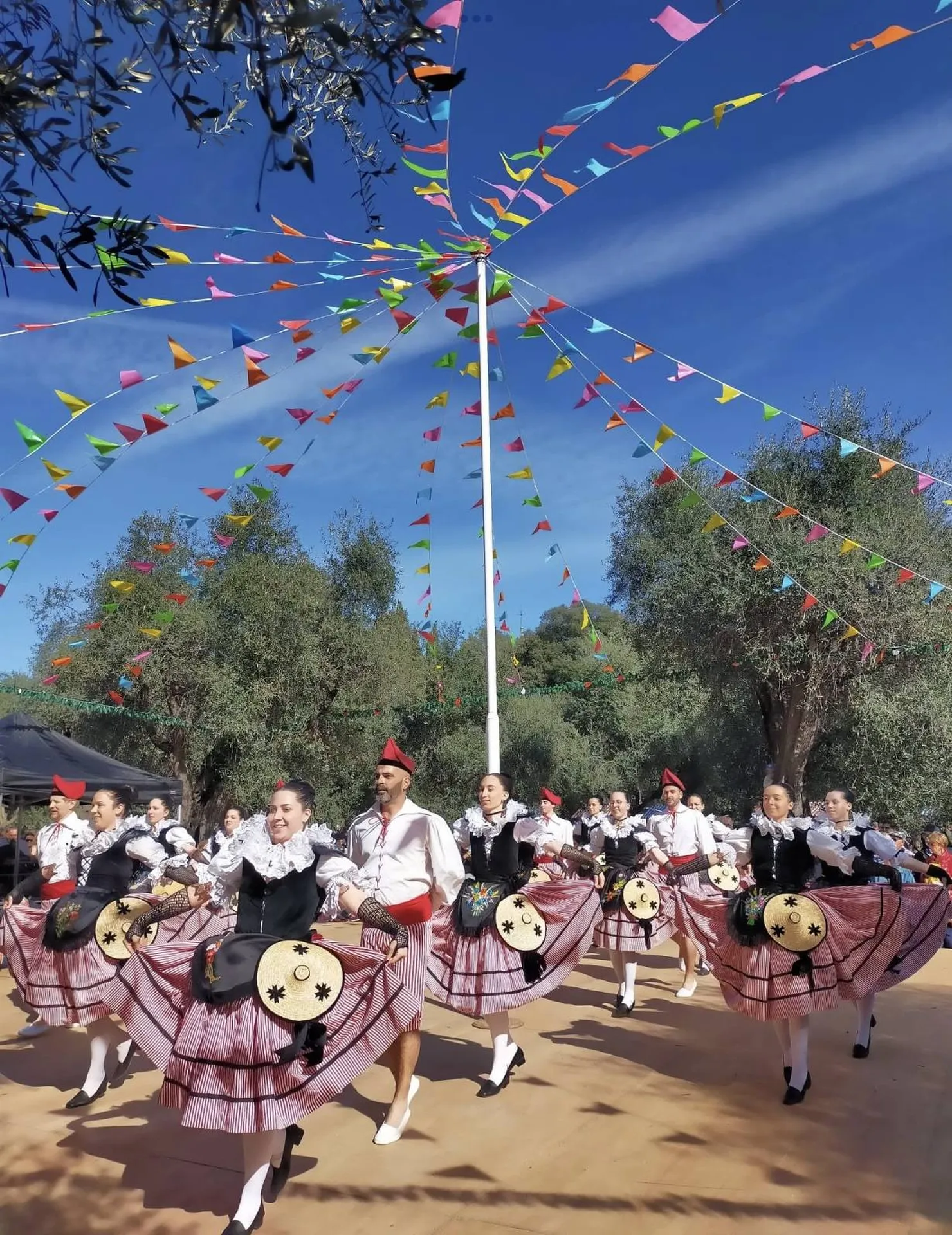 Chronique de la semaine 41 : La Camiada Nissarda