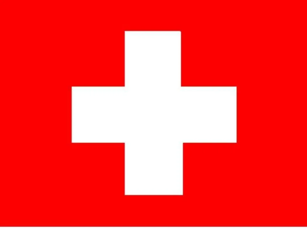 transport routier de fret depuis la france qui livre en suisse quotidiennement 