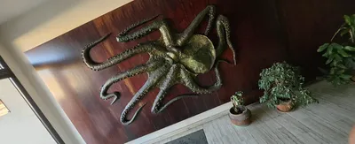 Entretien complet copropriété avec nettoyage approfondi et maintenance régulière des espaces communs à la Résidence La Marine à Sète