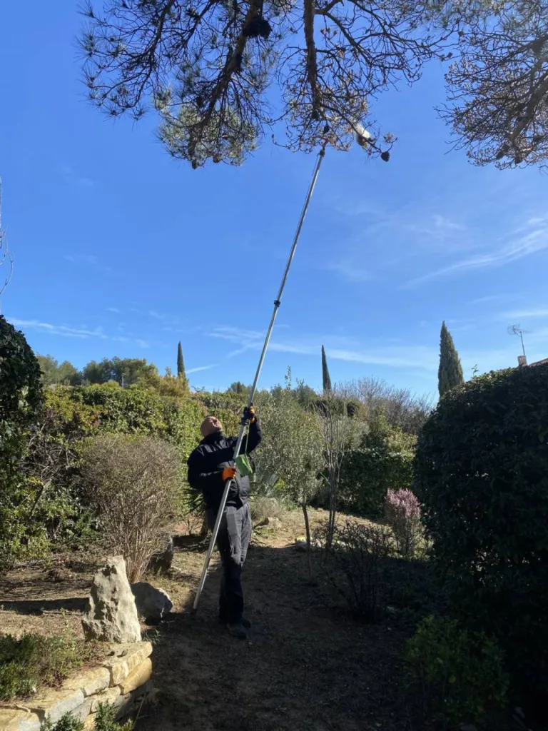chenilles processionnaires Martigues 13500