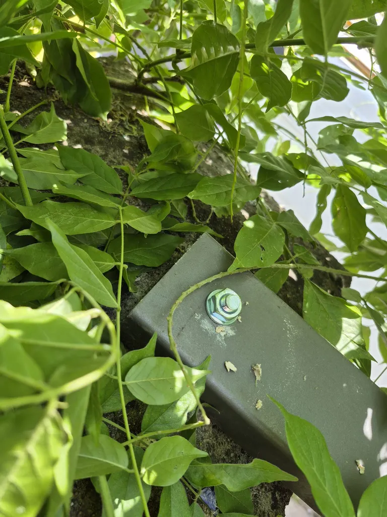 Préserver et optimiser : un portail métallique restauré avec soin à Bordeaux !