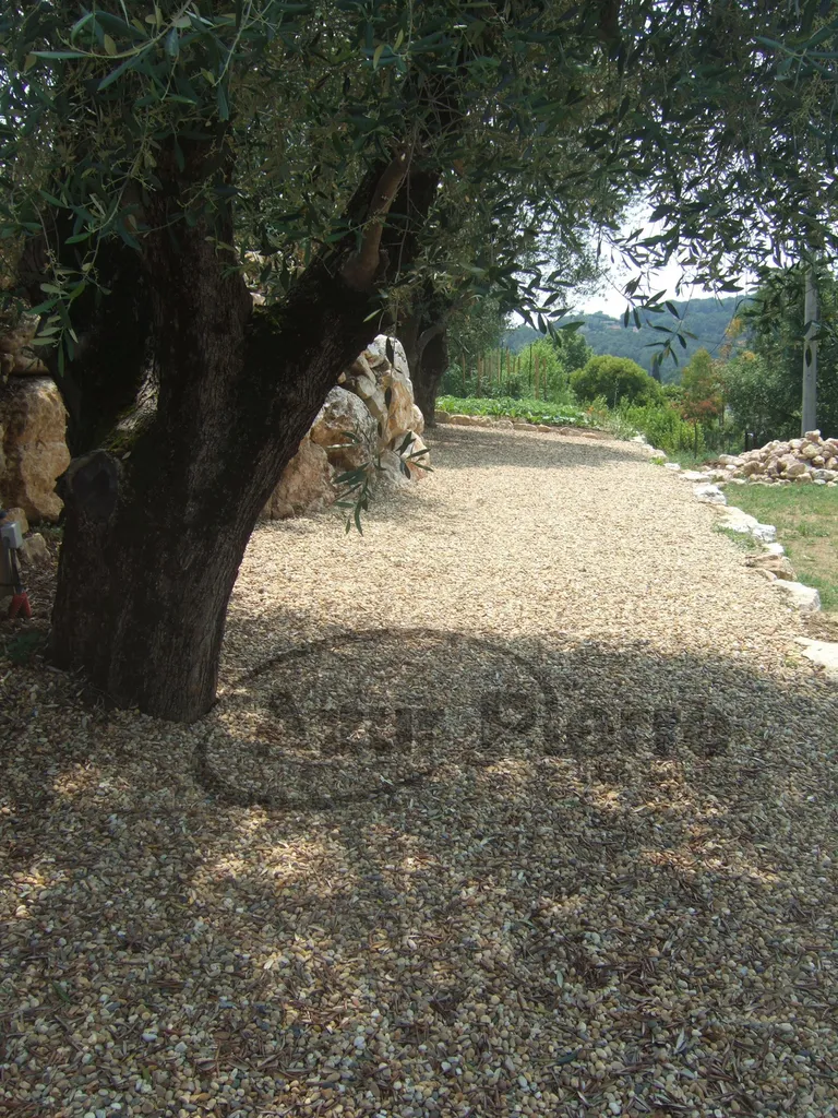 gravier jaune pour massif nice