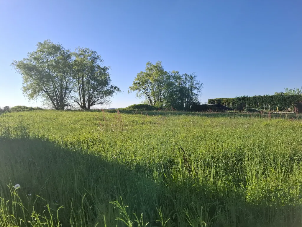 A vendre terrain de 2055 m² sur Flaujagues.