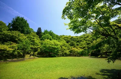 Entretien d'espace vert par jardinier vers Sorgues