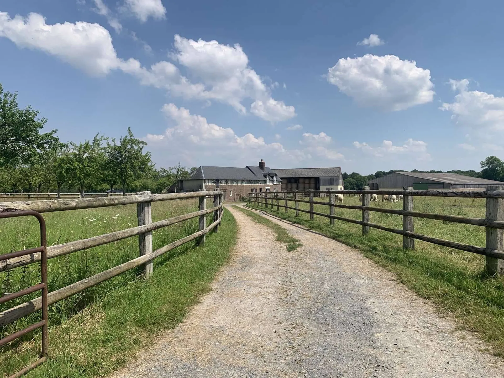 PAYS D'AUGE DU CALVADOS : Région LIVAROT : Structure Equestre et élevage de bovins de 28 HA
