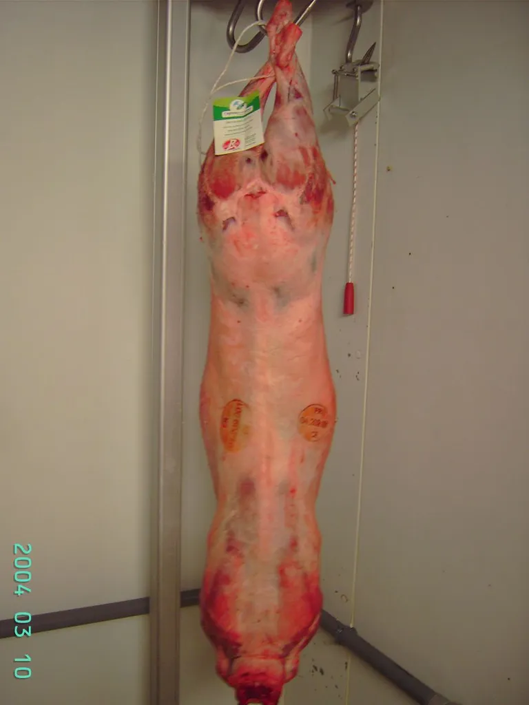 Carcasse d'un agneau de Ladret 