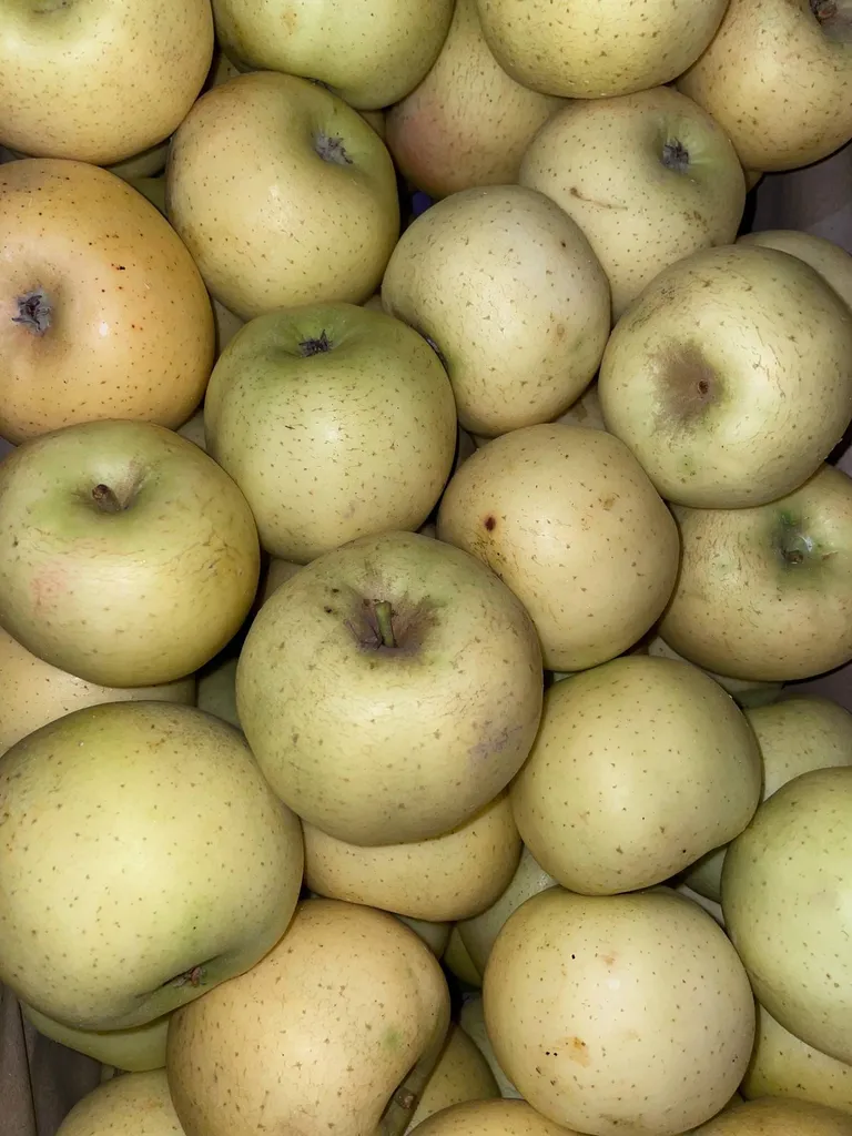 Livraison de Pommes Bio produit en Provence en point relais à Marseille