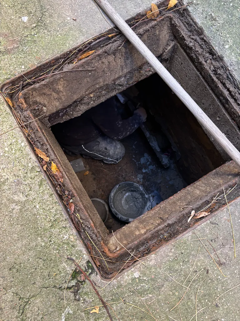 Traitement anti nuisibles à Lyon en zone difficile