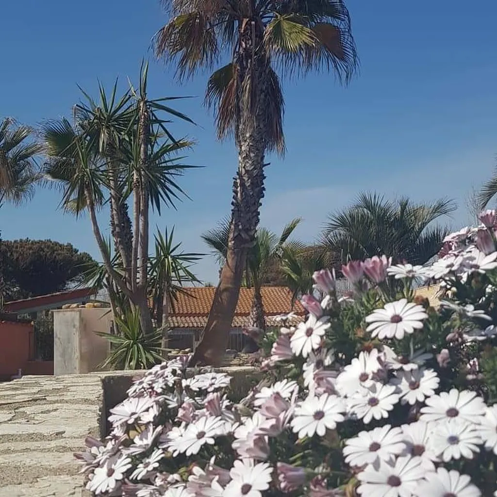 camping familial proche de Portiragnes à Vias