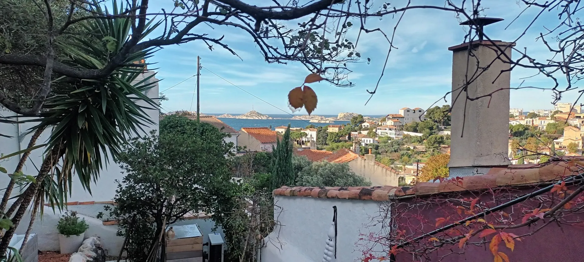 Défrichage pour travaux. 