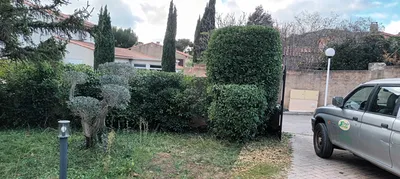 Taille d'un jardin à vaufreges 9ème à Marseille. 