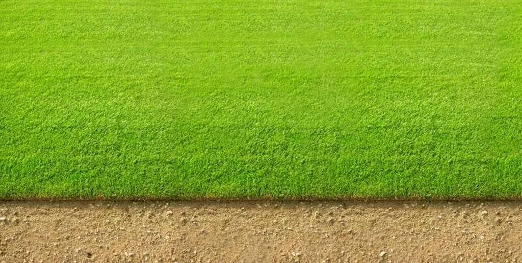 Transporter du gazon en France tous les jours en Provence