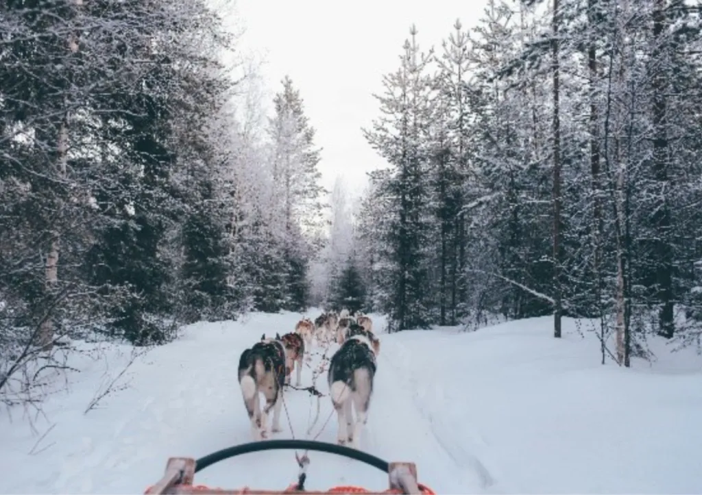 Mariage d'hiver réalisé par MY EVENT' BY JENNY votre Wedding Planner haut de gamme en Gironde