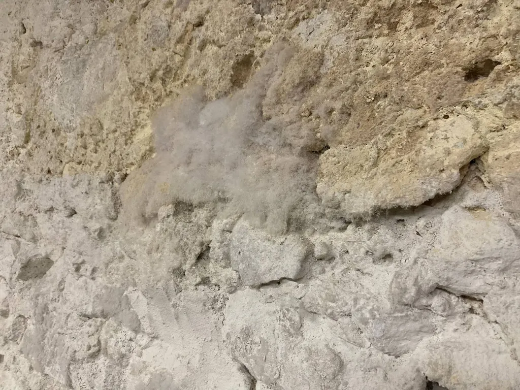 Reminéralisation de pierres calcaires farineuses