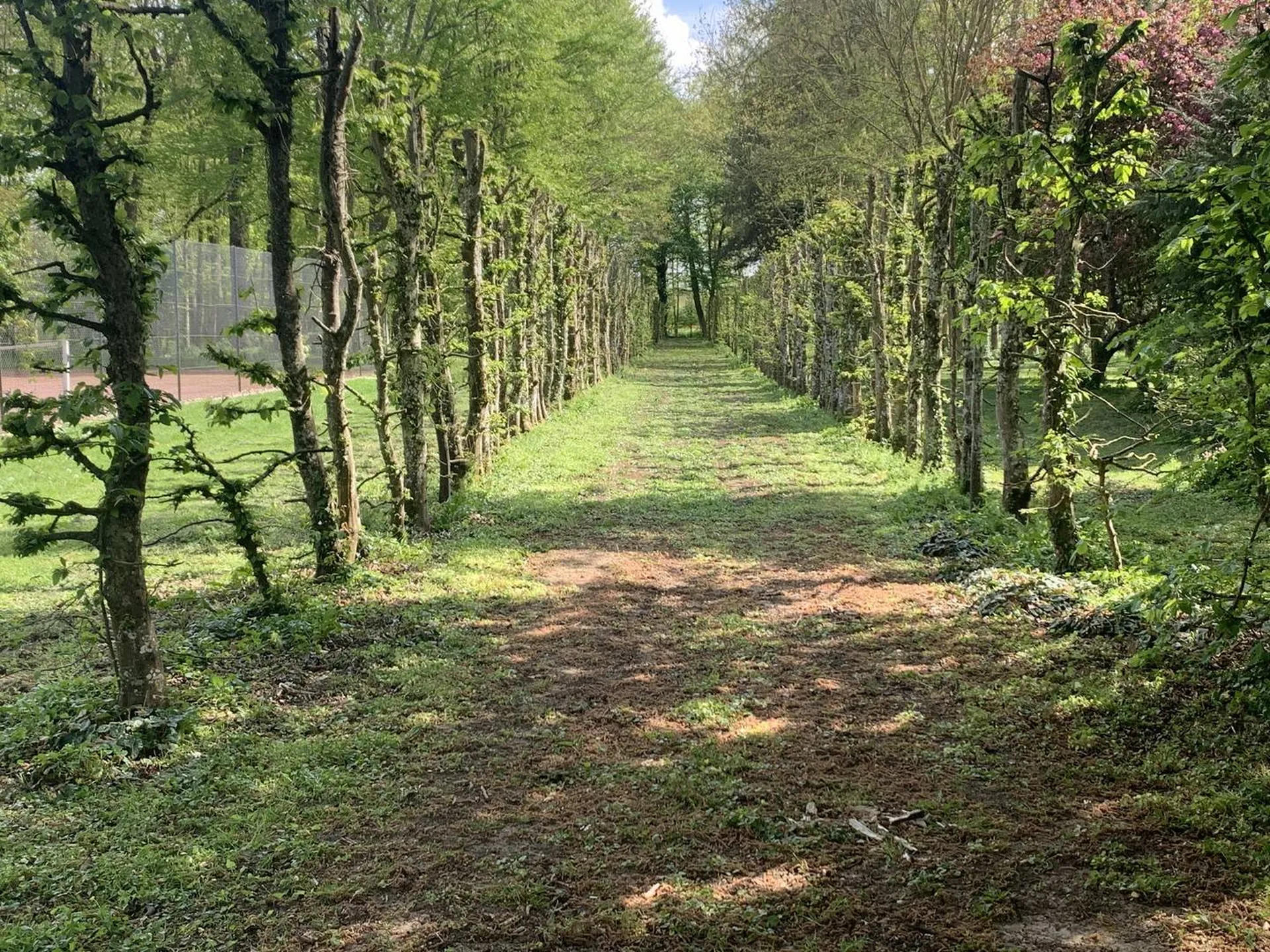 Achat - Dans l'ORNE (61000) propriété de 8ha80a avec un manoir en colombages et pierres