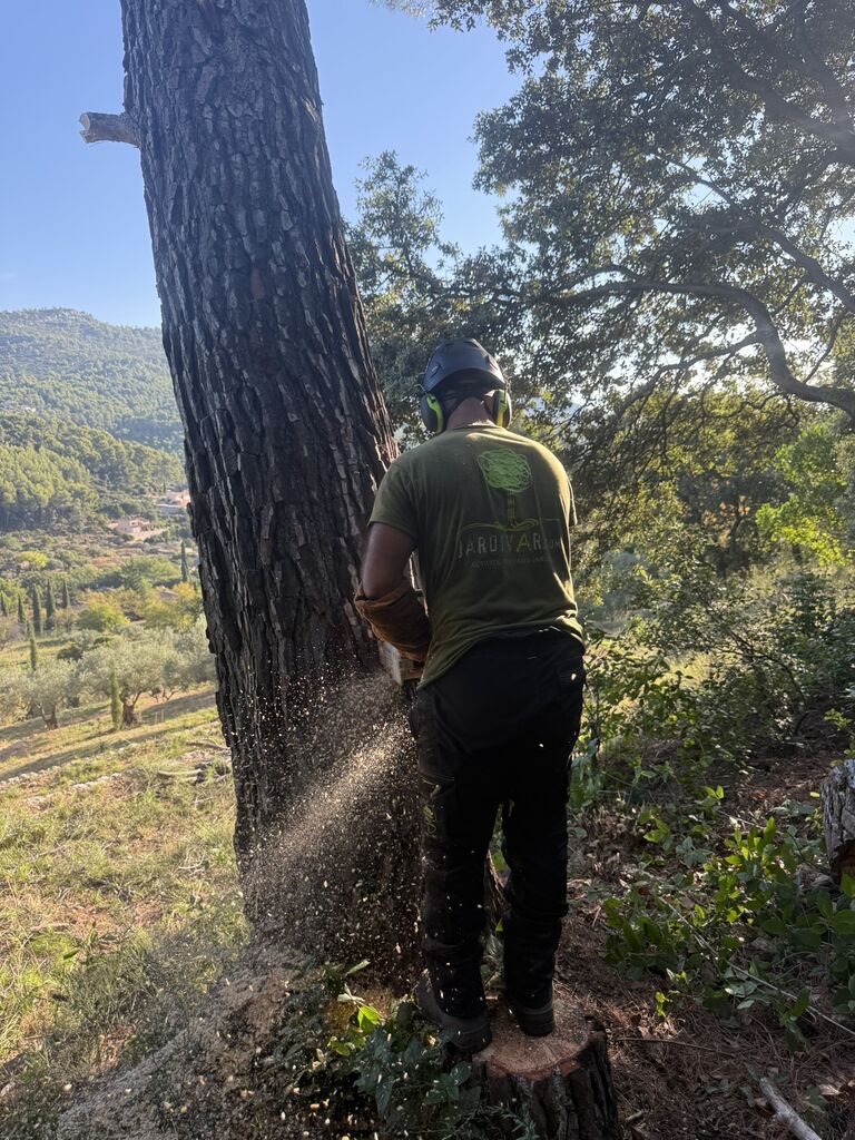 Réaliser vos travaux d’élagage, abattage sécurisé et débroussaillage professionnel pour protéger votre terrain à La Seyne-sur-Mer