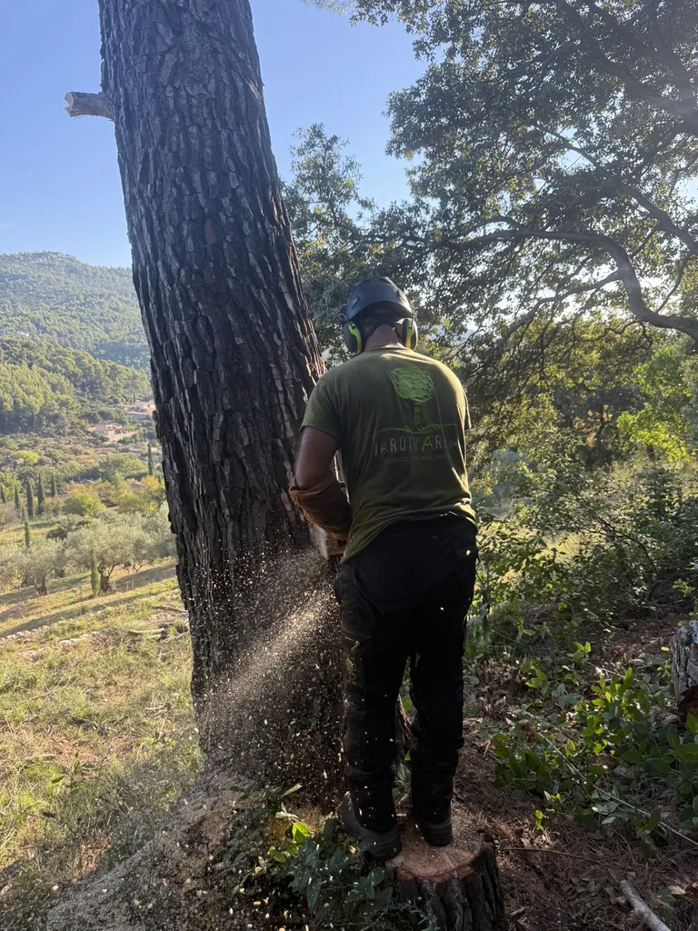 Réaliser vos travaux d’élagage, abattage sécurisé et débroussaillage professionnel pour protéger votre terrain à La Seyne-sur-Mer