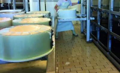 Les différentes étapes de fabrication des fromages biologiques selon la tradition fromagère ancestrale de Bourgogne Franche Comté: