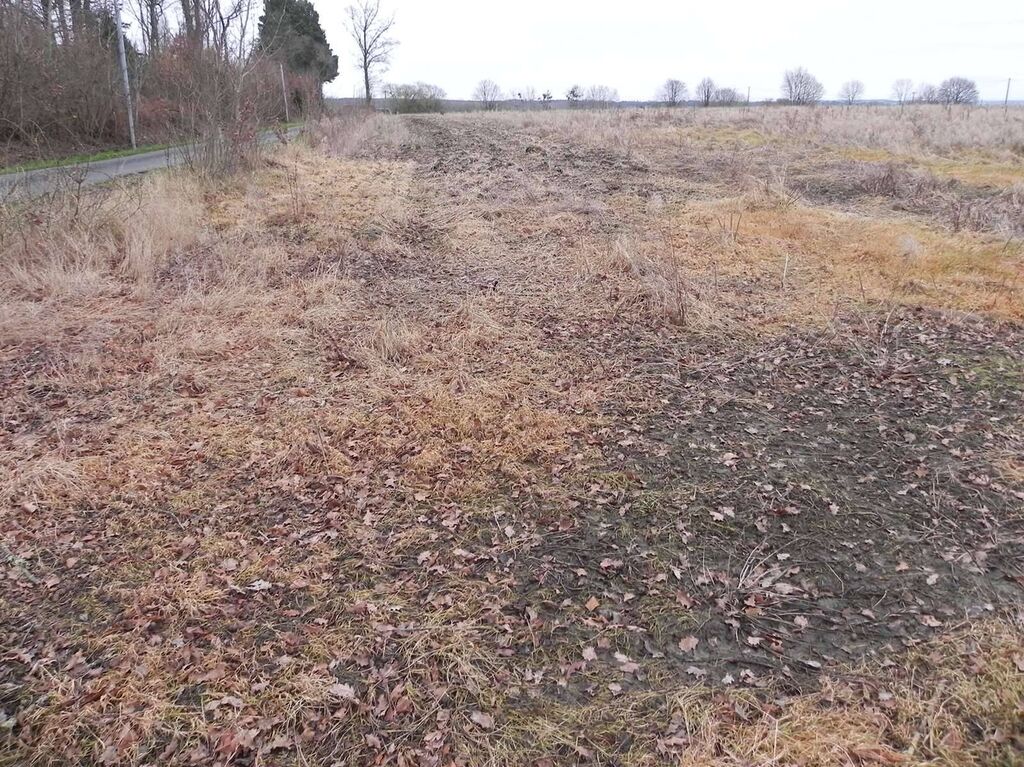 PAYS D'AUGE Entre LISIEUX et CAMBREMER (CALVADOS) A vendre TERRAIN AGRICOLE : 8HA 65A