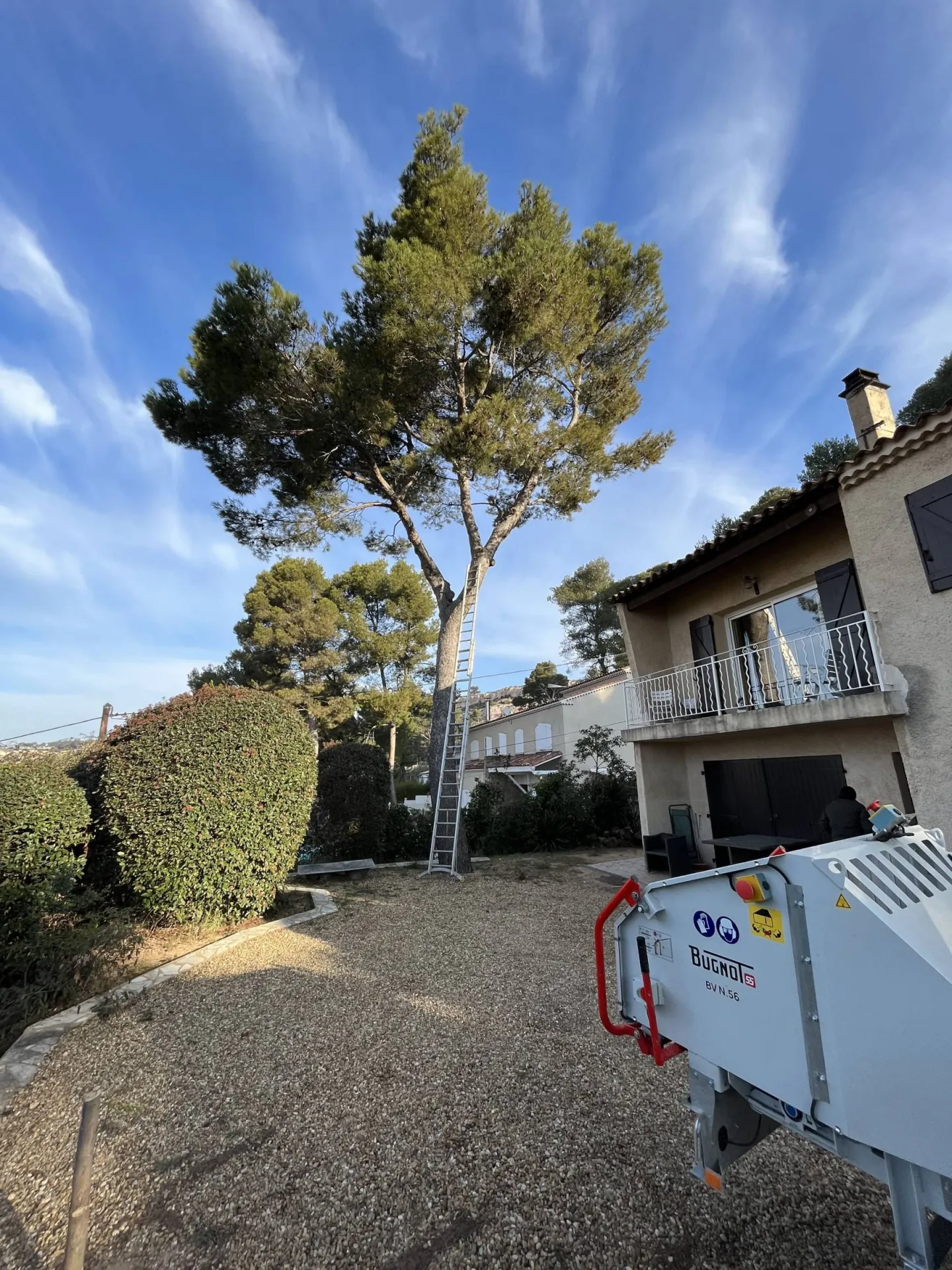 Demontage d arbre en technique de retention Vitrolles