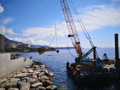 Plantation par la mer à Monaco