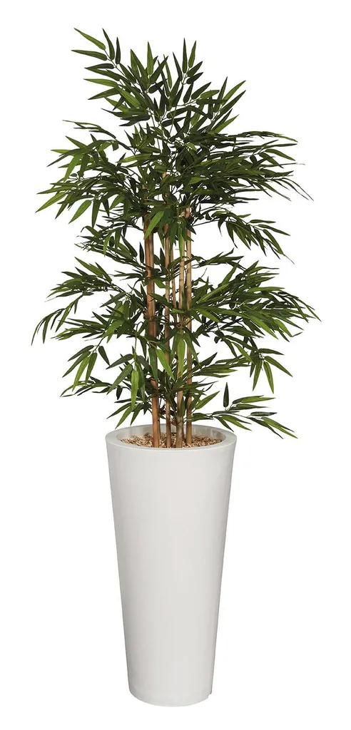 Accessoires de décoration ergonomiques pour espace de coworking