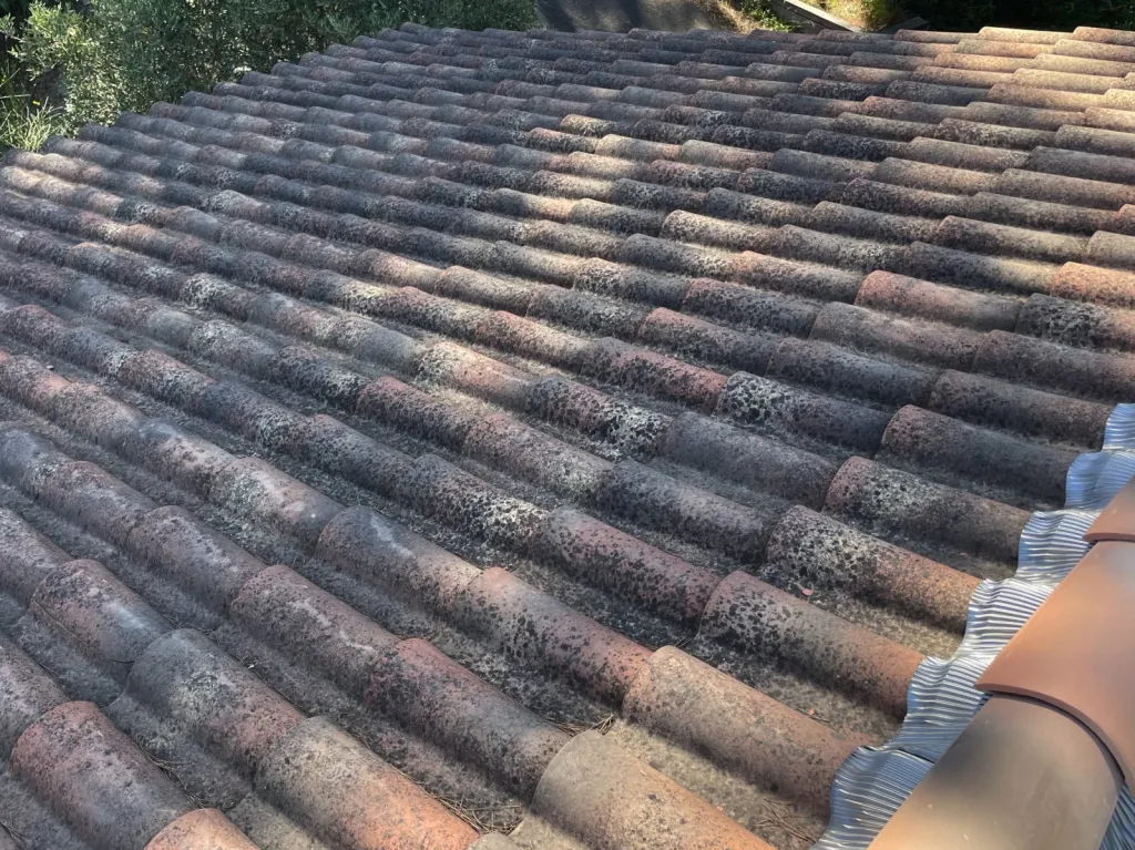 Nettoyage de toiture à Bouc-Bel-Air 13320