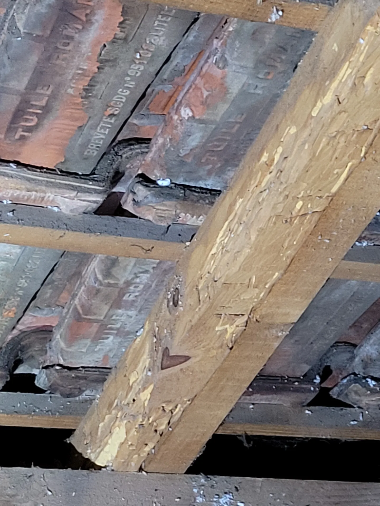 Traitement des bois de charpente à Pessac