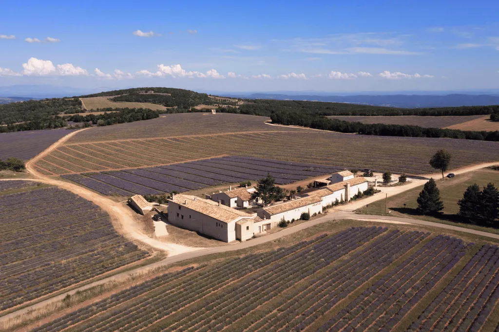 Discover a guesthouse retreat in Provence in a vast reserve, surrounded by lavender fields, mountain views and centuries of family heritage