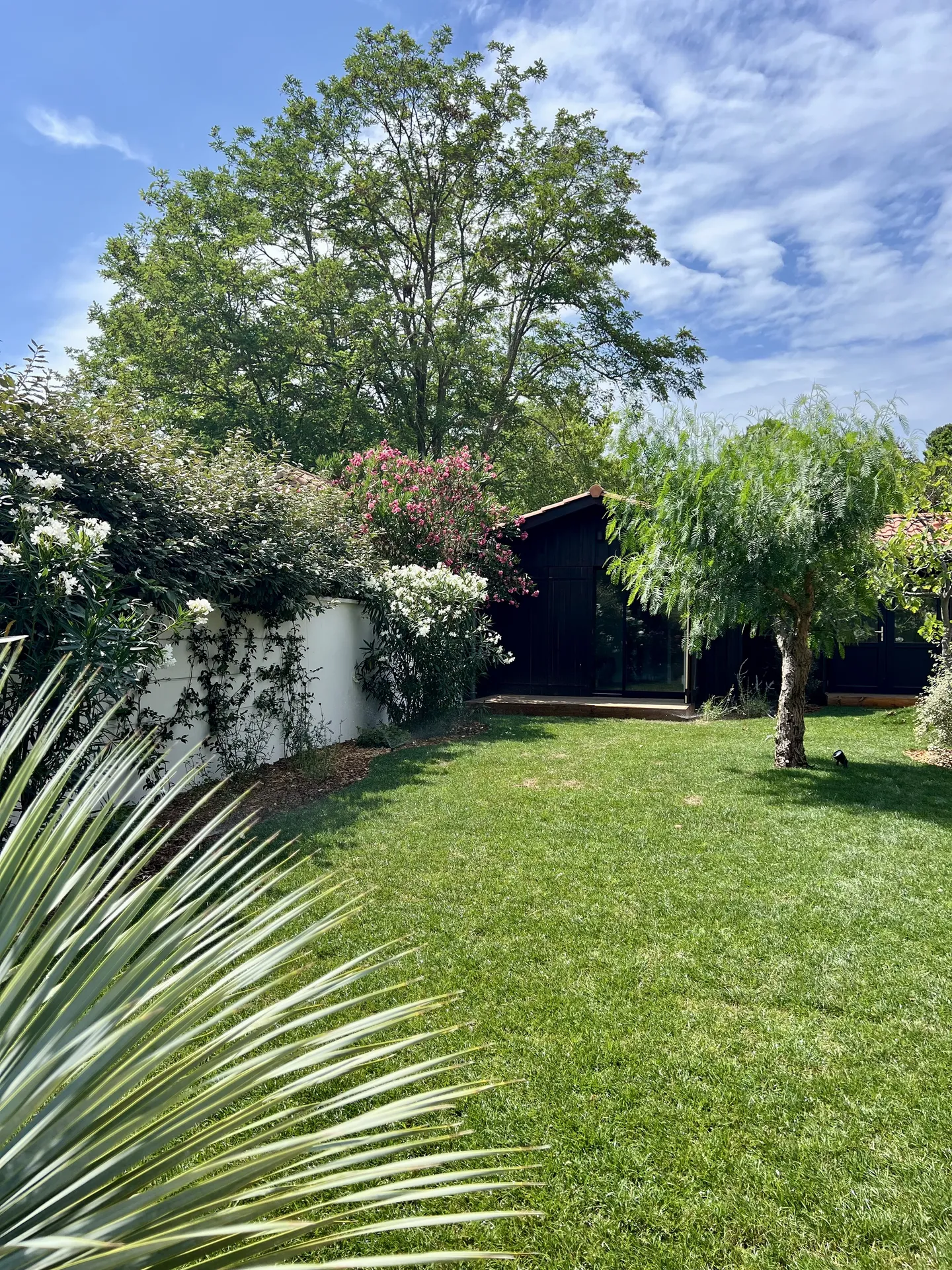 Création de jardin
