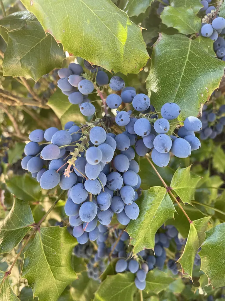 vin-rouge-provence