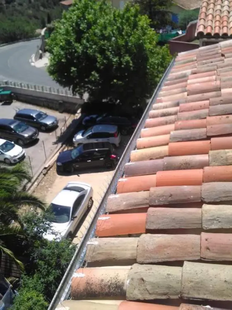 anti pigeon peynier 13790