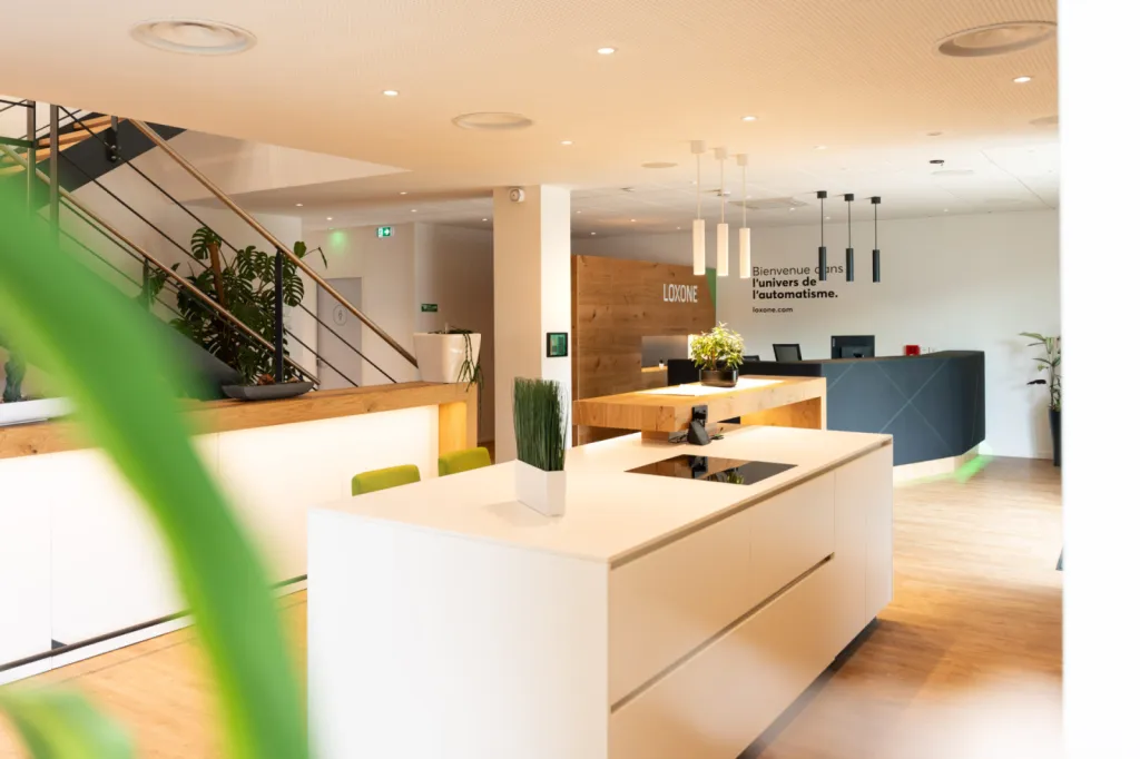 showroom loxone domotique intelligente à Lyon 1