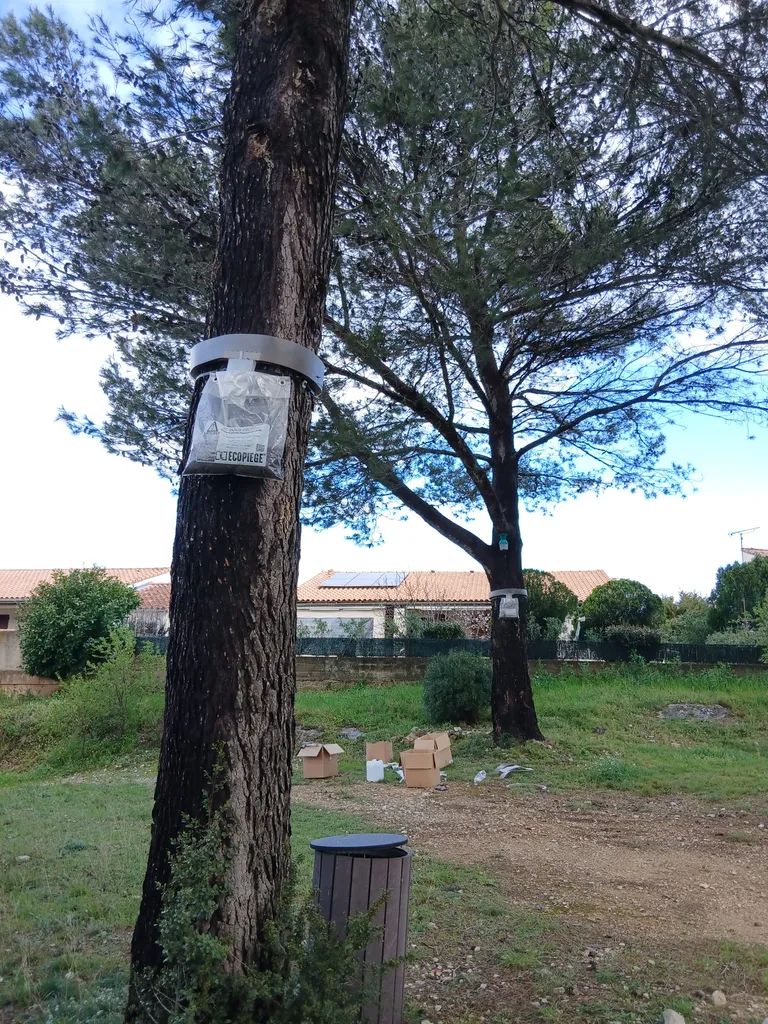 Pose d'écopiège à Marignane 13700