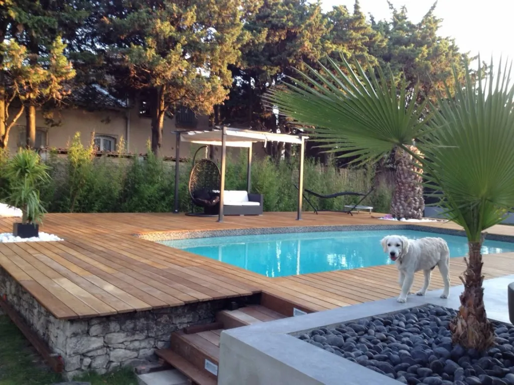 Decking dans jardin contemporain