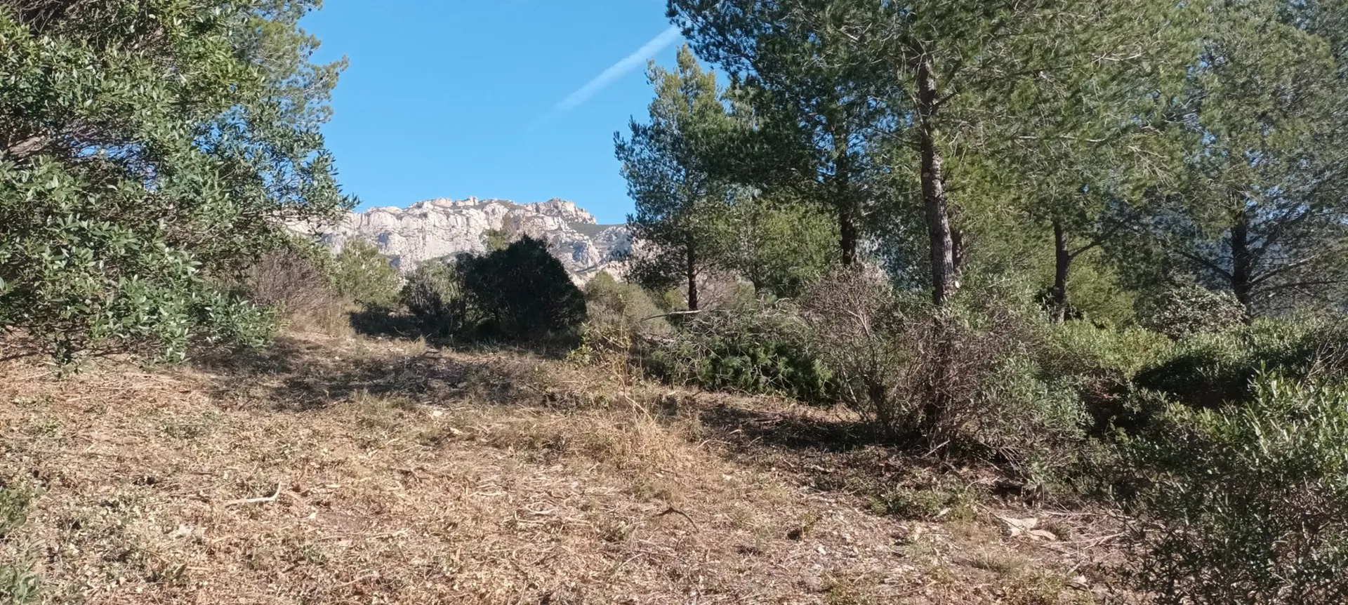 trouver jardinier entretien pas cher cassis